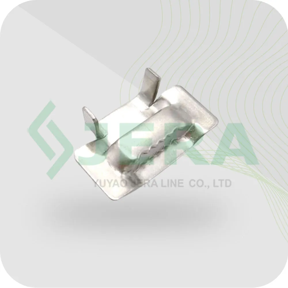 Stainless Steel Buckles
