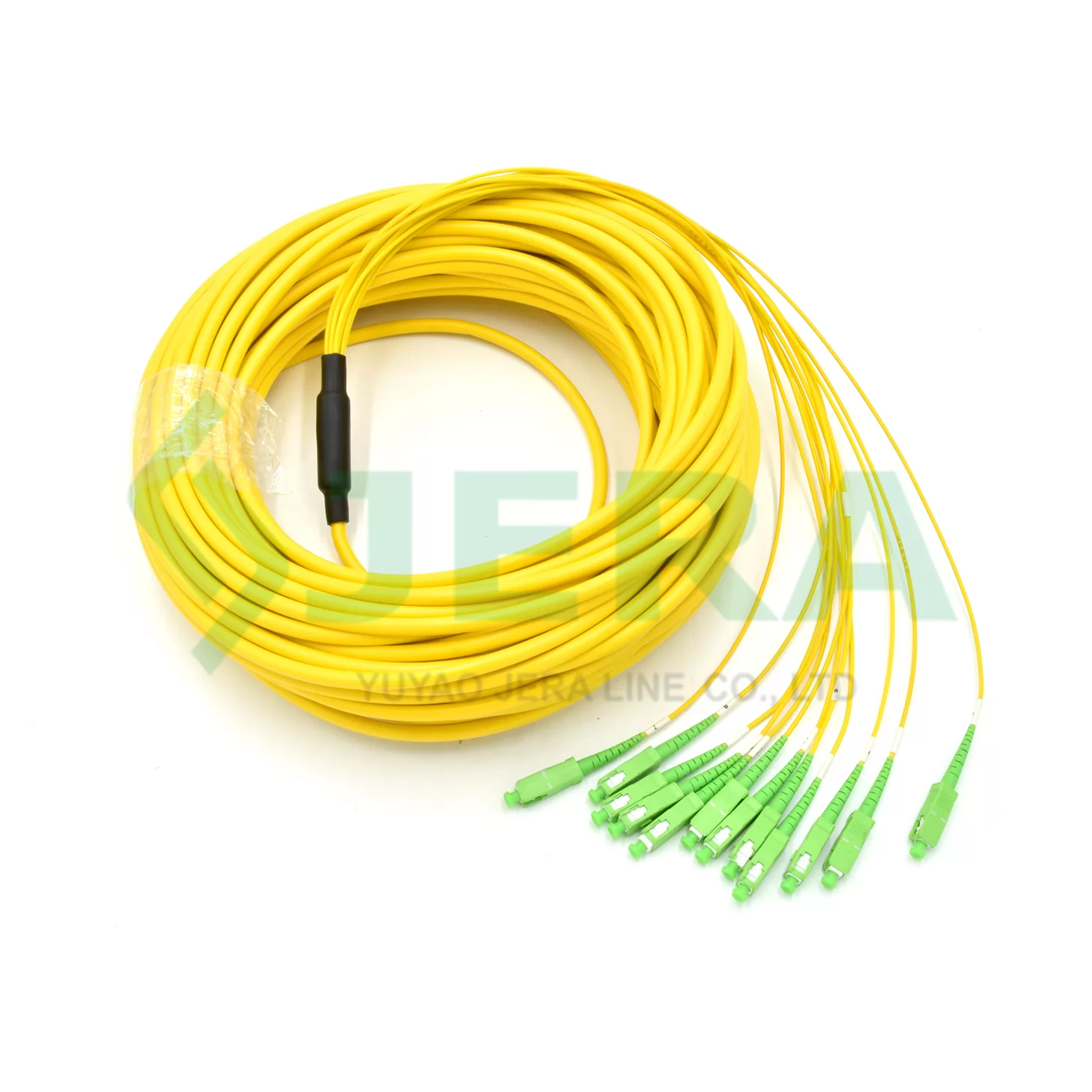 12-core SC/APC Fanout Pigtail Fiber 35 meters