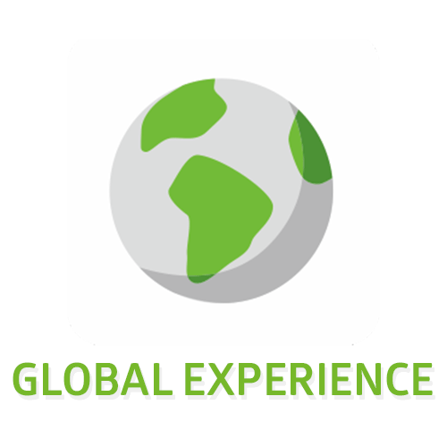 5. Experiență globală